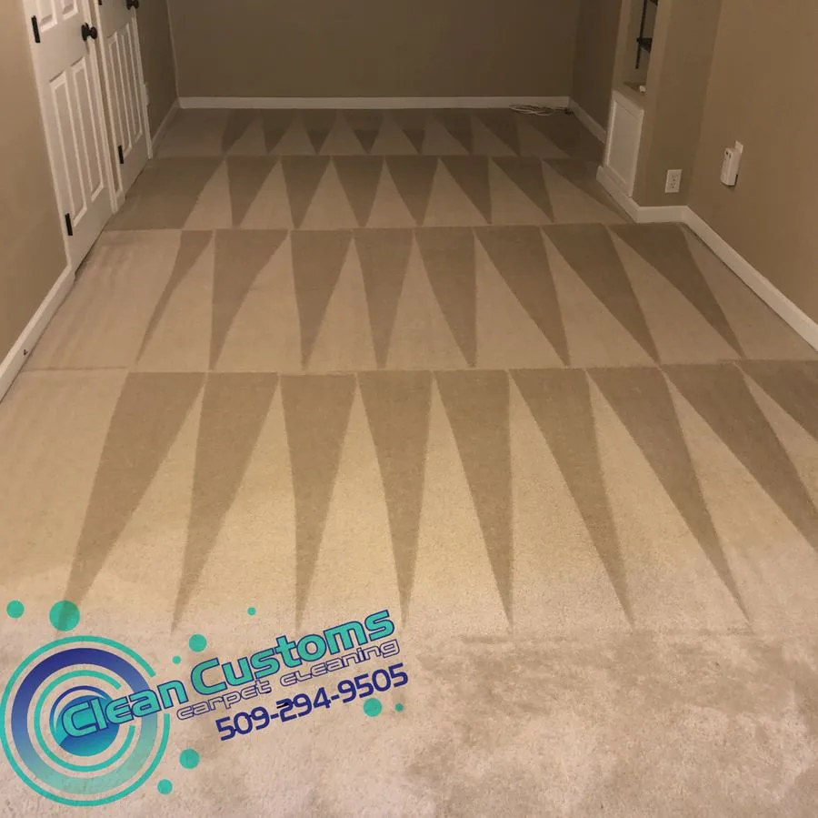 Professional carpet cleaning results in Hayden Lake WA
