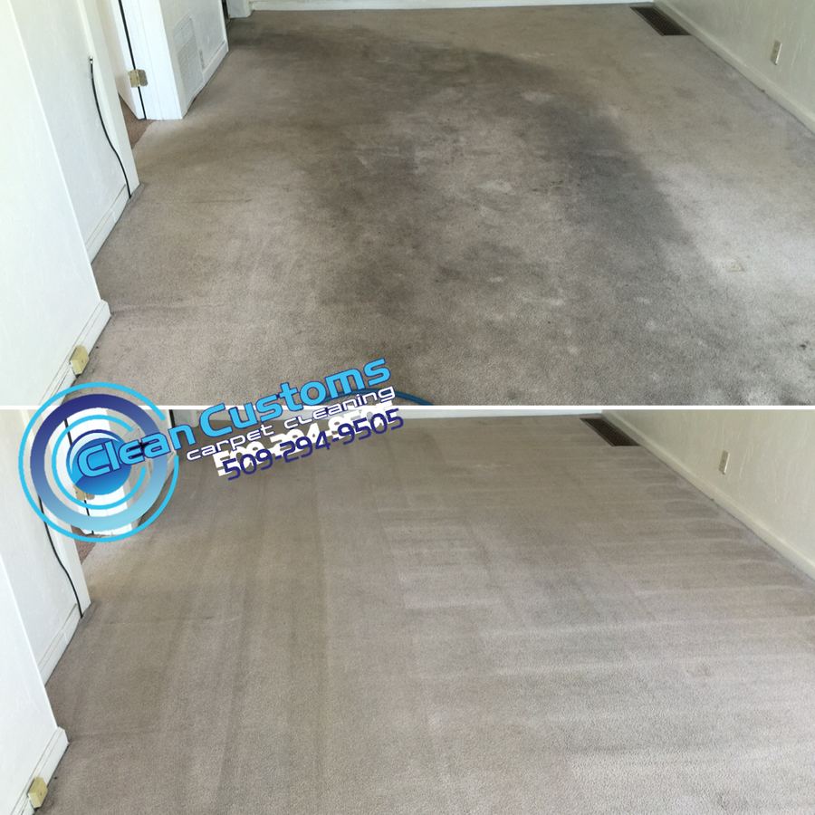 Carpet room before and after cleaning Spokane